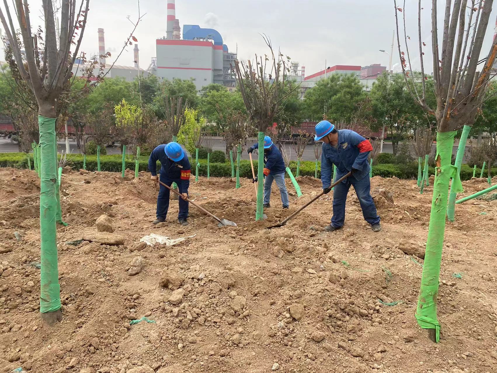 “植”此青綠 繪就綠色鋼城新圖景